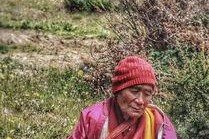 王悠悠生活照,捕捉王悠悠的日常风采