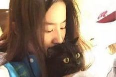 吃瓜娱乐圈刘亦菲微博