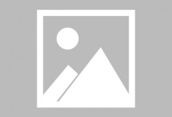 张钦雅个人资料