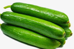黄瓜的照片,清新爽口，夏日餐桌上的绿色佳肴