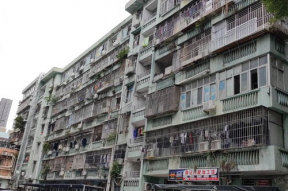 八卦岭新闻,聚焦社区发展，展现时代变迁