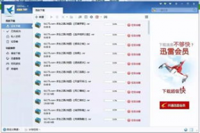 迅雷下载 明星,明星资源一网打尽，海量影视随心享
