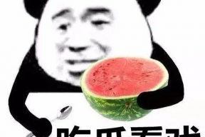 娱乐吃瓜君熊猫头,娱乐吃瓜君带你领略萌宠魅力